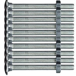 LOCK FOCUS COACH BOLT M5x50MM w/- NUT S/M5X50/CBN sold  as  PKT10