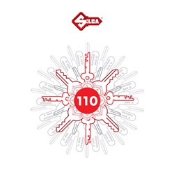 Silca Catalogue for Residential and Household Keys 2024 110 - P1LN