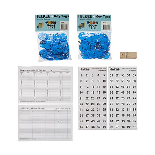 TELKEE KEY CABINET MODEL 530 T379 100 KEY CAPACITY GREY